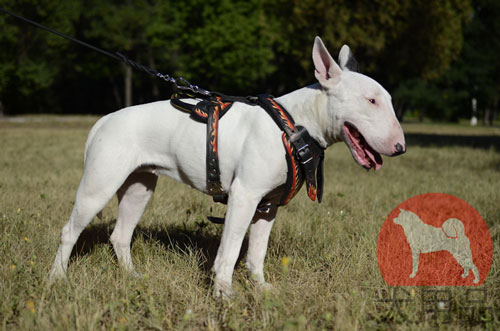 大型犬　デザインハーネス