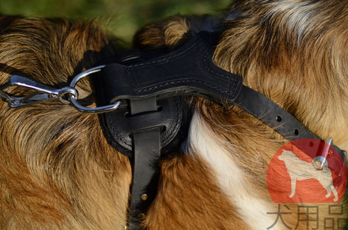 超大型犬用ハーネス　かっこいいスタッズ