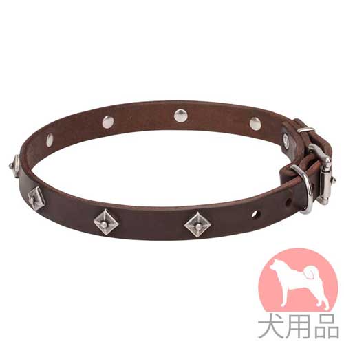 犬　首輪(ドットスタッズ付)