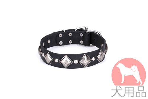 FDT Artisan 大型犬用デザイン首輪　