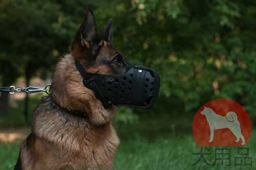 シェパード用口輪