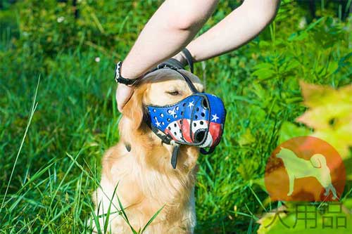 レトリバー　口輪(アメリカ国旗柄)