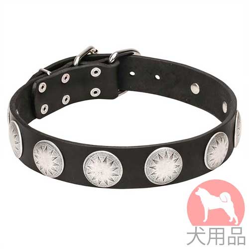 おしゃれ　首輪(星コンチョ)