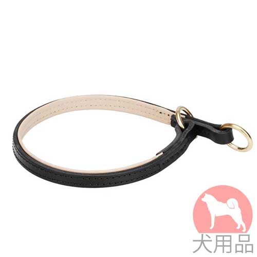 チョーク首輪(ナッパ付き)