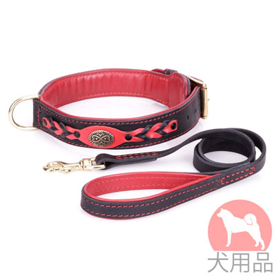 新しいデザイン　首輪とリードのセット