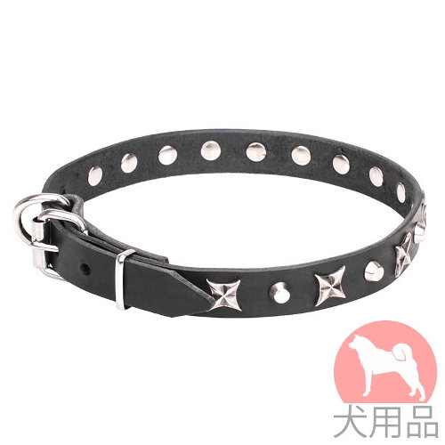 星スタッズ付き可愛らしい首輪