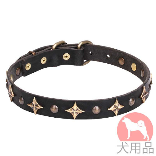 犬用スタッズ付き首輪　ゴールド