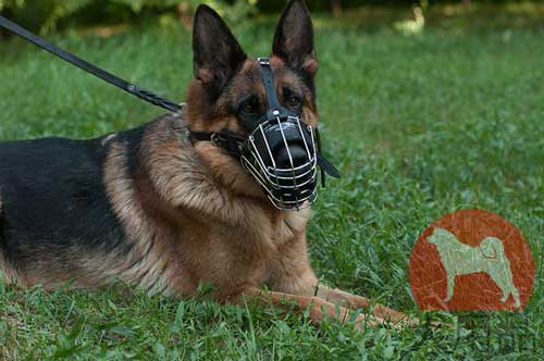 シェパード用口輪(金属とゴム付)