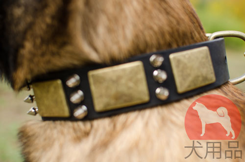 大型犬に向いているかっこいいレザーカラー