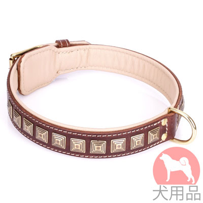 大型犬用首輪　高級感溢れる犬用品