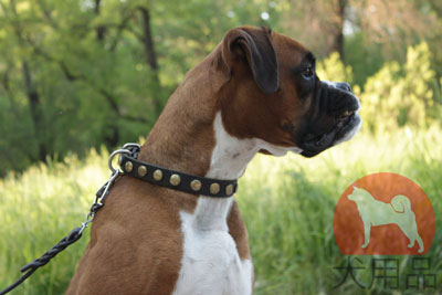 大型犬用首輪　丸型スタッズ付