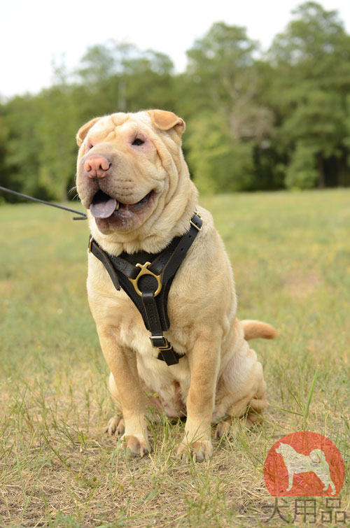 大型犬　ハーネス　柔らかい