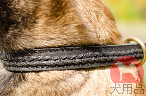 大型犬向けの三つ編付き首輪