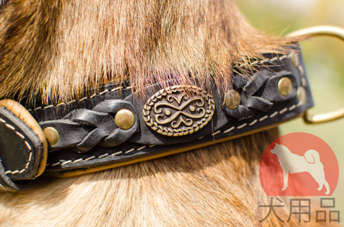 大型犬向けの毛切れしない首輪