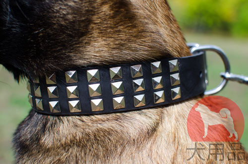 大型犬用首輪　可愛いピラミッドスタッズ