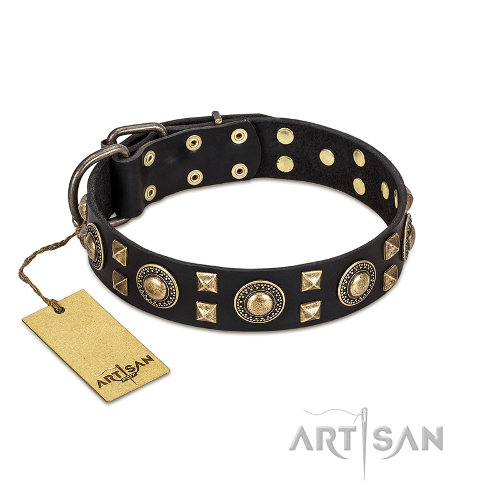大型犬 首輪 デザイン商品 - ¥11,525