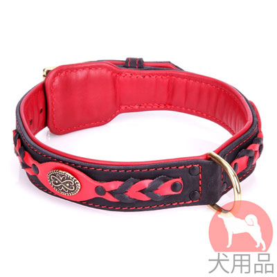 大型犬用首輪　赤色
