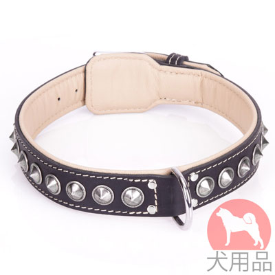 大型犬用首輪　丈夫な作り