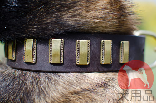 大型犬首輪　縦のプレート付き　ハンドクラフト