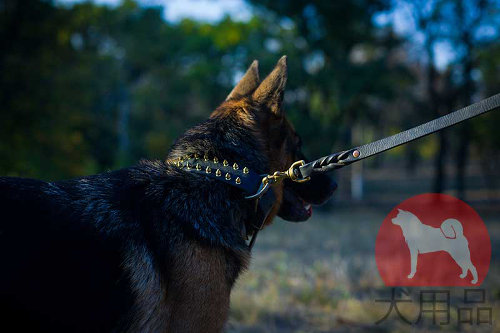 シェパード用二重スパイク首輪