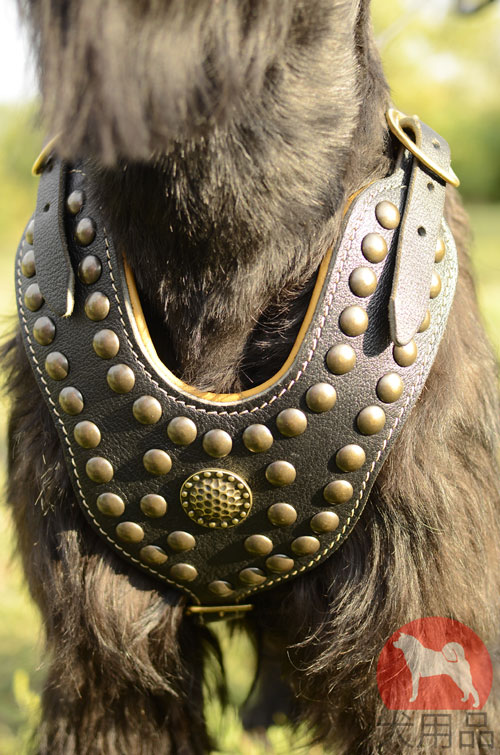 大型犬用ハーネス　丸型スタッズ