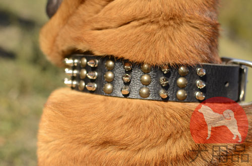 大型犬に合うシンプルレザーカラー(25mm)