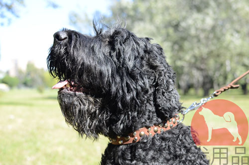大型犬用かっこいい首輪　スタッズ