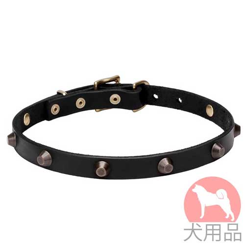 犬　首輪　デコ(黄銅スタッズ)