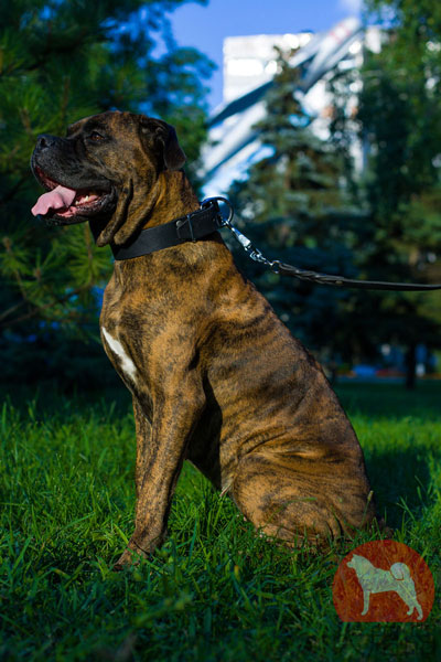 大型犬用幅が広い首輪