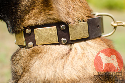 大型犬向けのオリジナル金具付き首輪