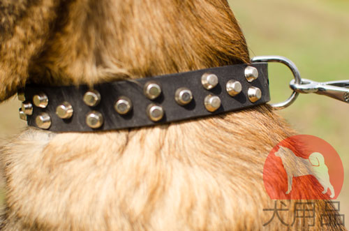 大型犬　首輪　かっこいいピラミッド付