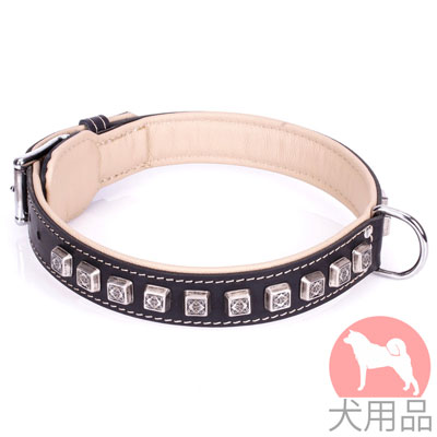 大型犬用首輪　かっこいいコンチョスタイル