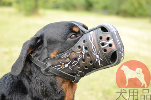 ロットワイラー　口輪　有刺鉄線柄付