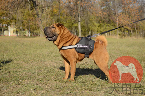 シャーペイ用反射テープ付ハーネス