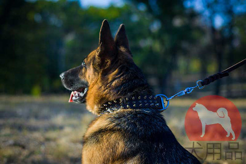 シェパード用首輪(ミックススタッズ)