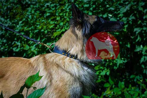 大型犬　首輪(2連スパイク)