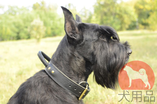 ジャイアント・シュナウザー向けの二重革口輪