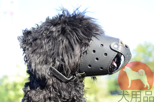 大型犬用口輪　マスクタイプ