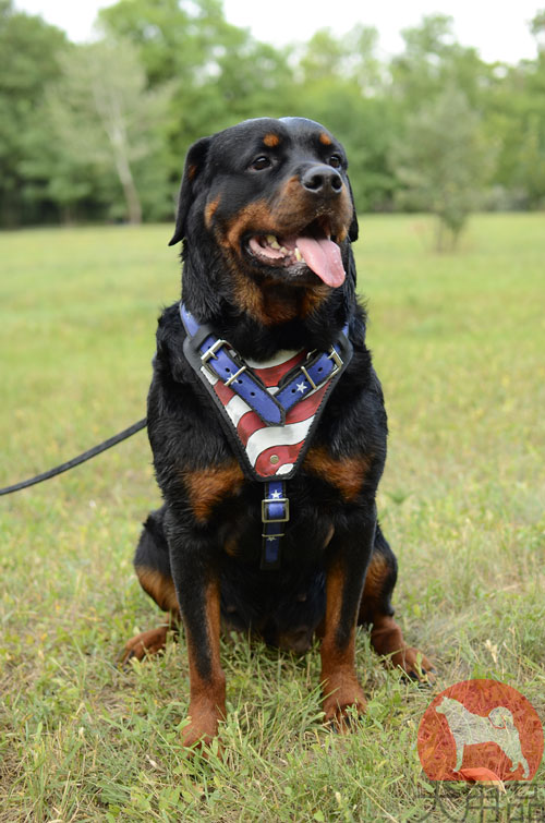大型犬　ハーネス　アメリカ国旗柄