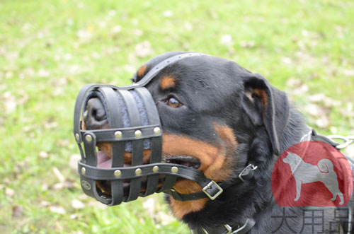 大型犬用口輪　ハンドクラフト