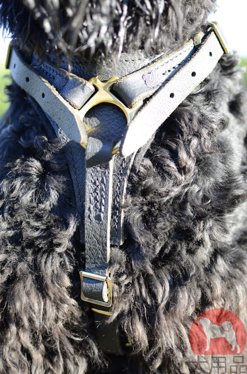 大型犬用ハーネス　軽量