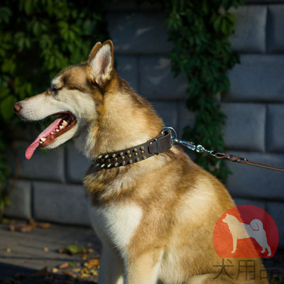 大型犬　首輪　かっこいいデザイン　上質なレザー製