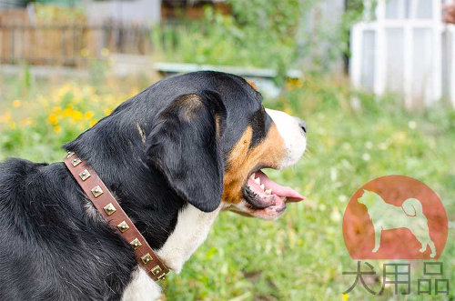 大型犬用本革製首輪　マウンテンドッグ　25mm