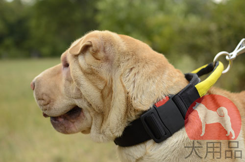 大型犬　首輪　アウトドア