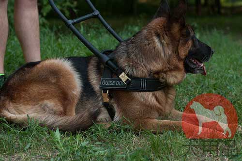 シェパード用盲導犬ハーネス(本革)