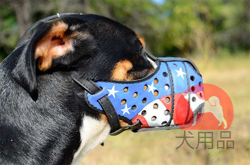 スイスマウンテンドッグ　口輪(アメリカ国旗柄)