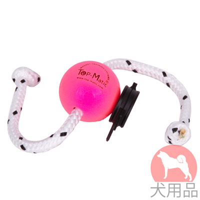  小型犬・子犬用おもちゃセット　ピンクのボールと黒磁石クリップ