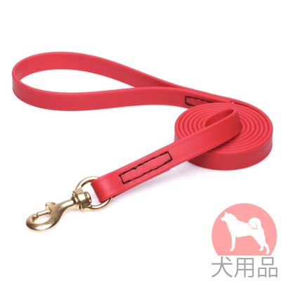 アメリカ　人気　リード　ビオタン リード　赤