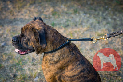 大型犬用チョークカラー　本革製
