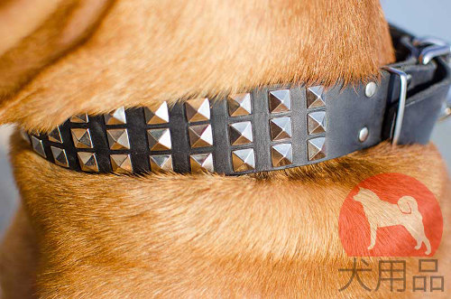 犬用首輪│ボルドー・マスティフ用ピラミッドスタッズ首輪